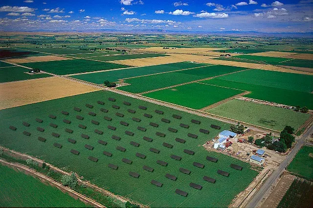 The Canyon County, Idaho card