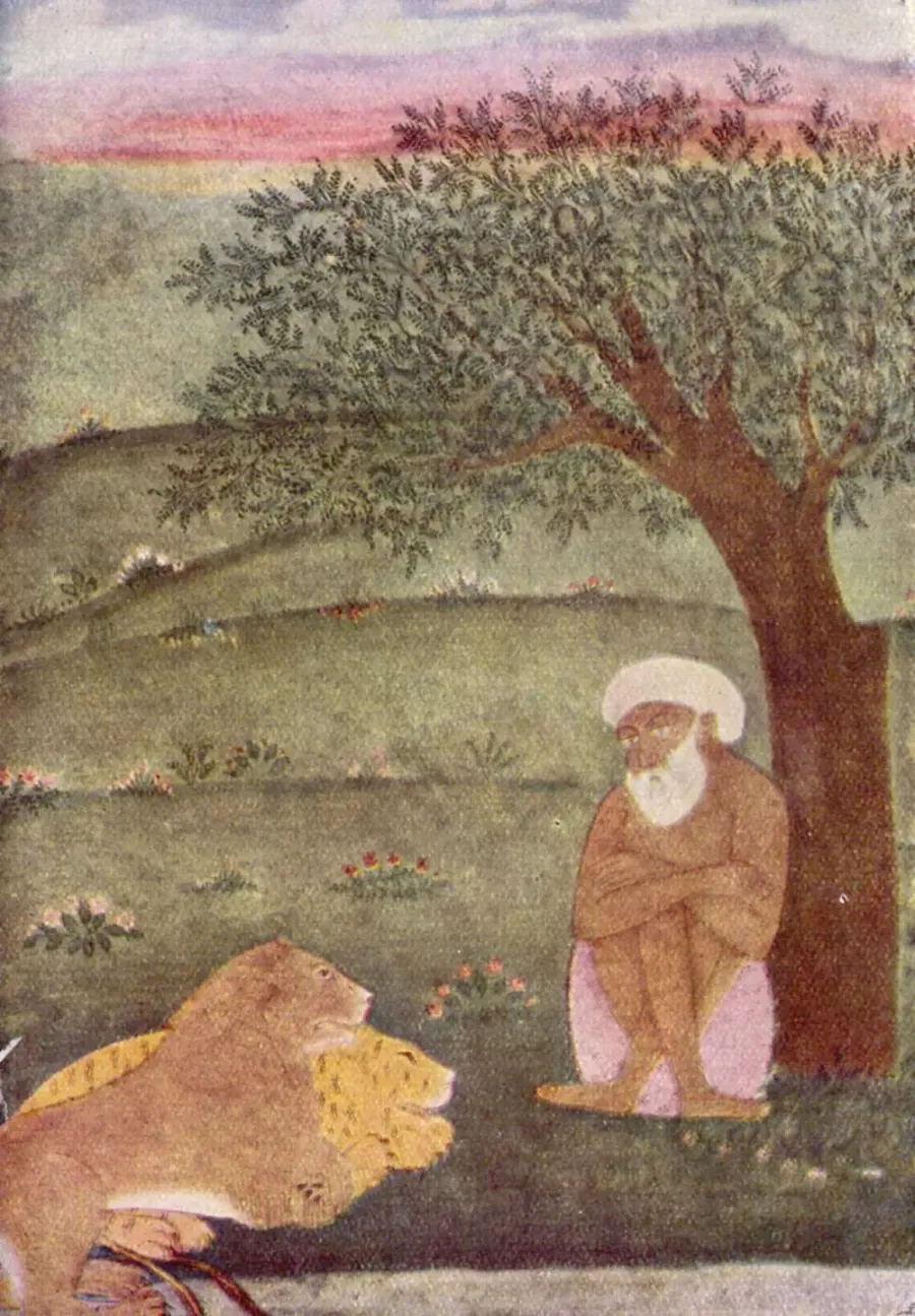 The Dervish card