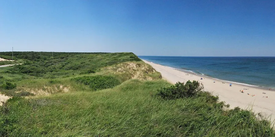 The Cape Cod card