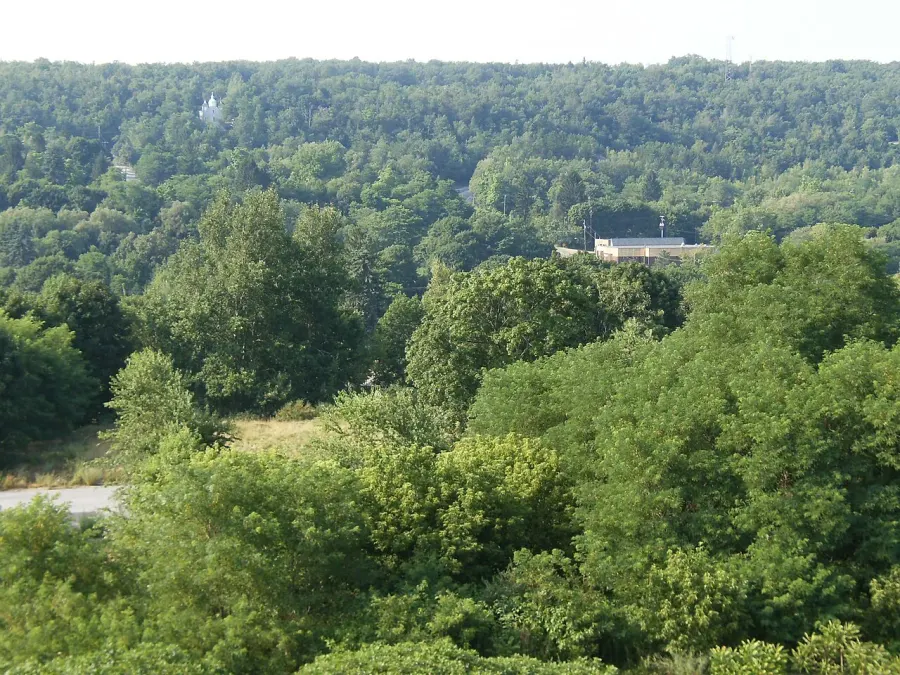 La carte Centralia