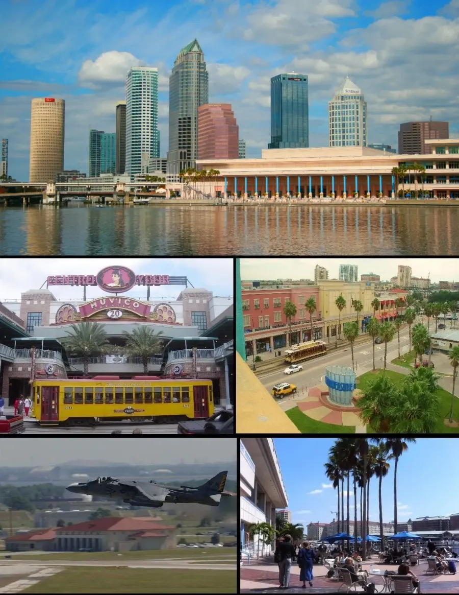 The Tampa, Florida card
