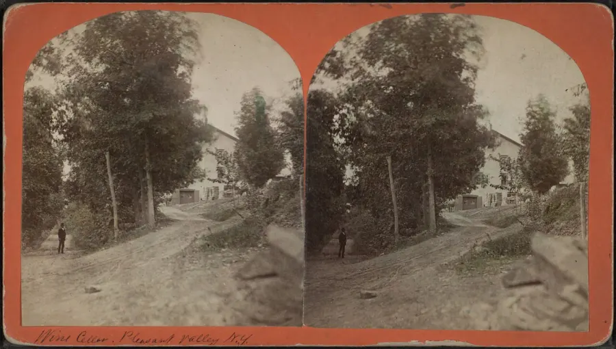 The Bolivar, New York card