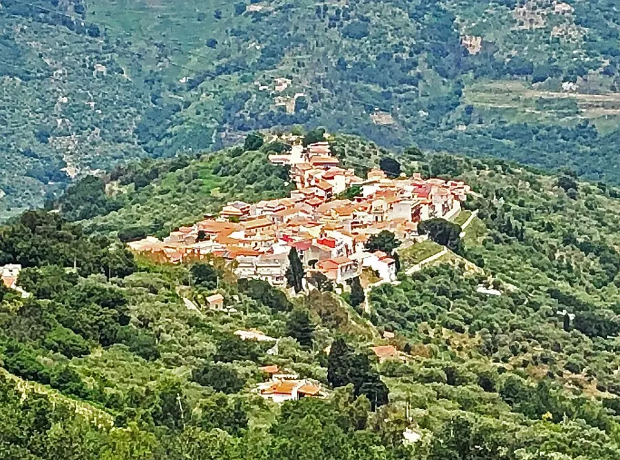 La carte Mirto