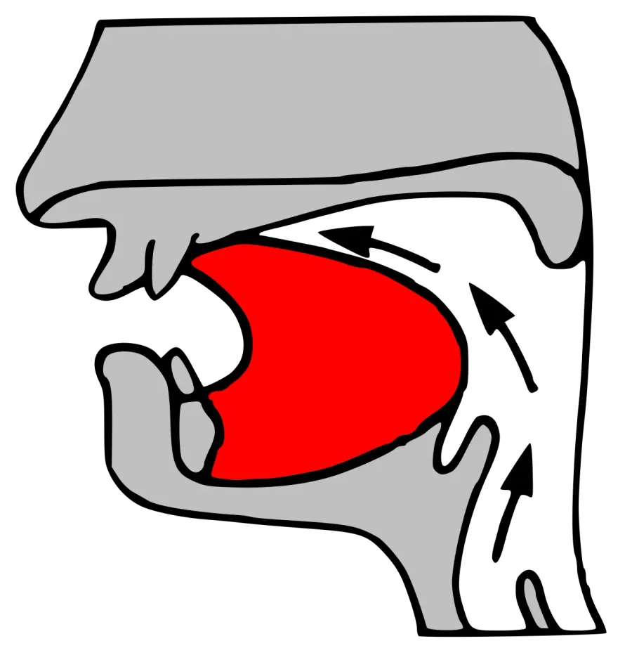 The Alveolar consonant card