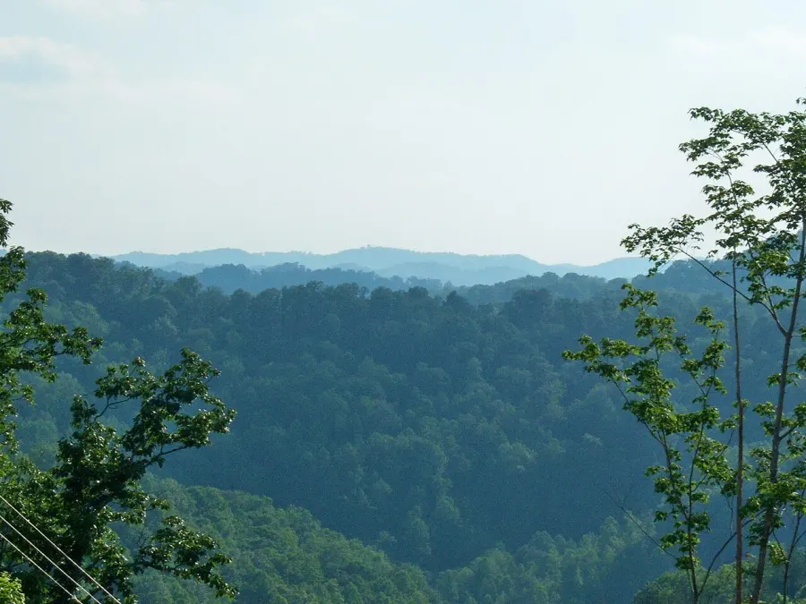 The Johnson County, Kentucky card