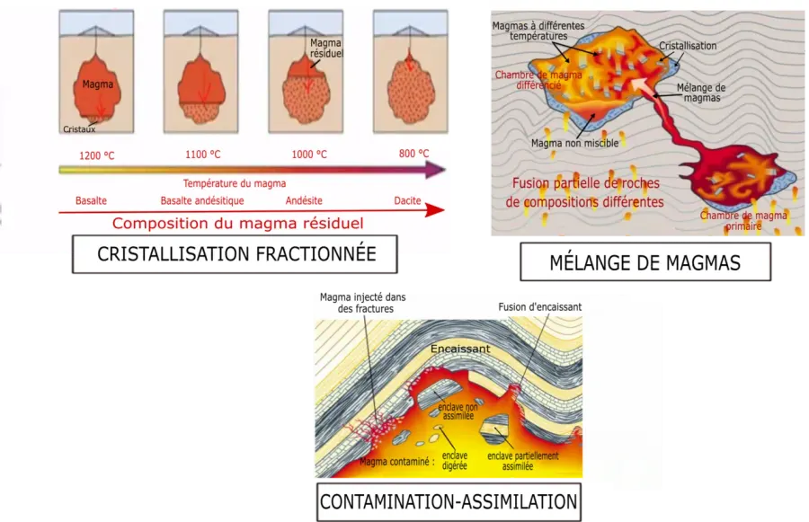 The Igneous differentiation card