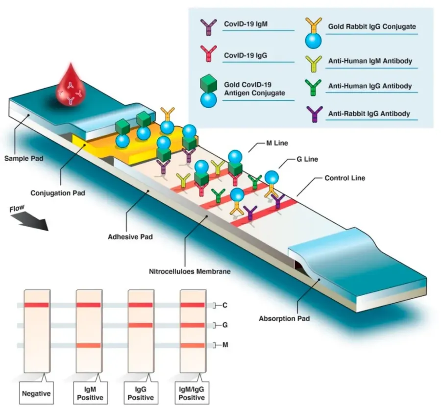 The Serology card