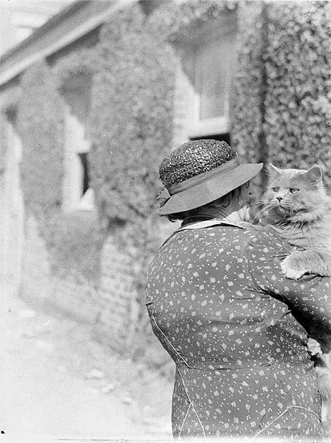 La carte Femme à chats