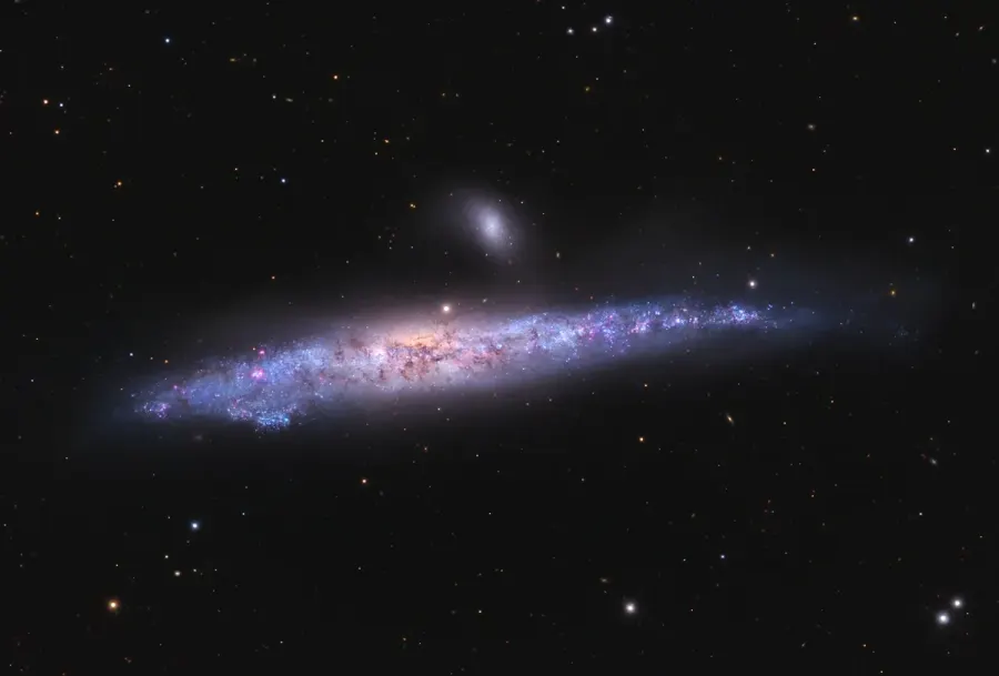 The NGC 4631 card
