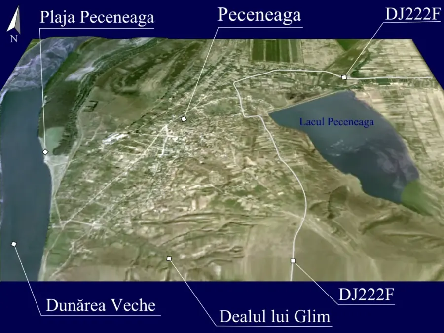 The Peceneaga card