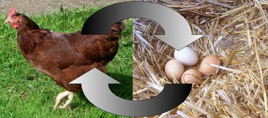 The Chicken or the egg card
