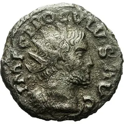 The Proculus card