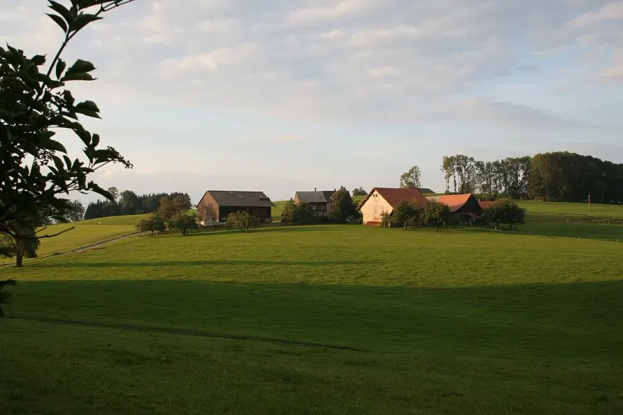 The Hamlet card