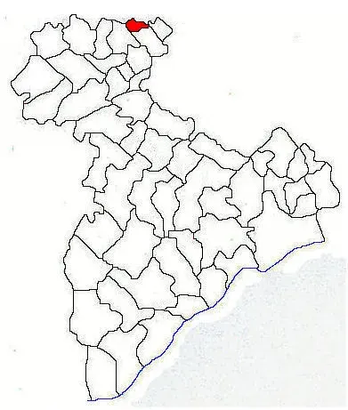 The Cosoba card