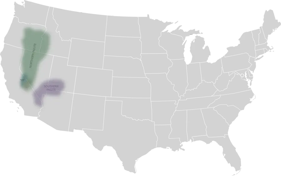 The Paiute card