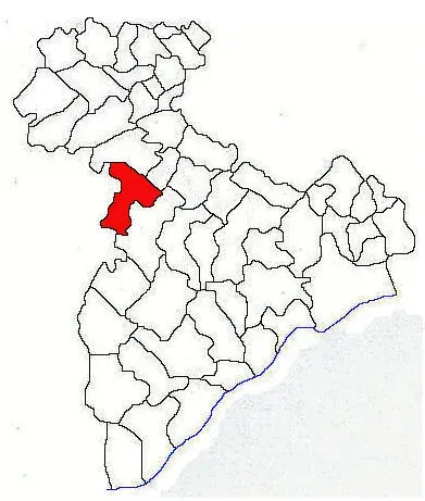 The Letca Nouă card