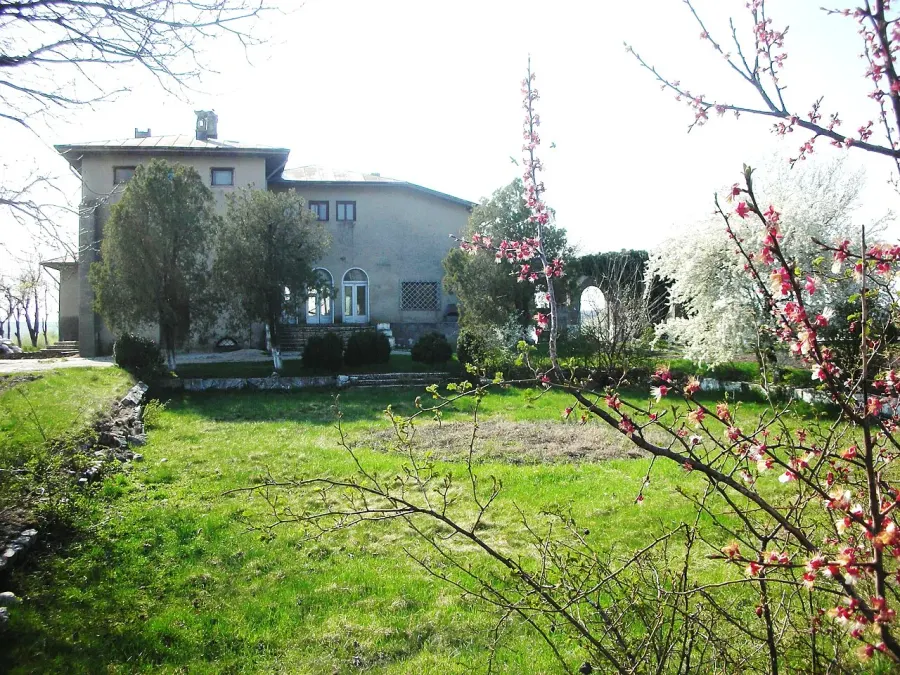 The Singureni, Giurgiu card