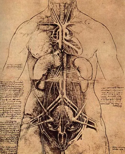 The Anatomy card