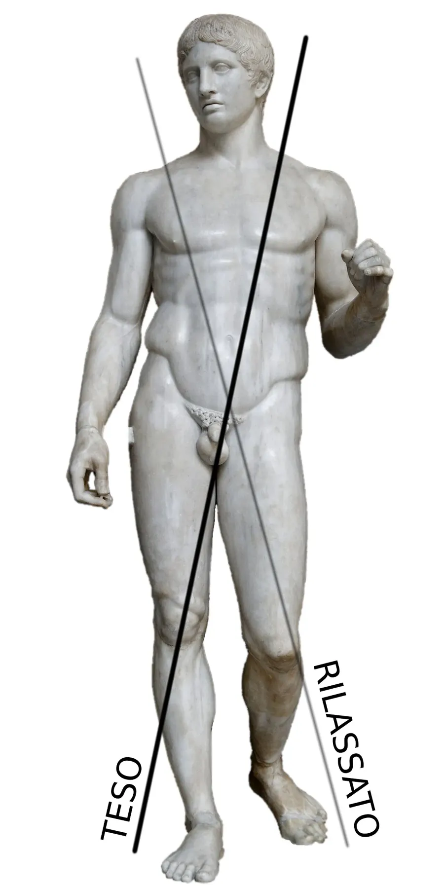 The Contrapposto card