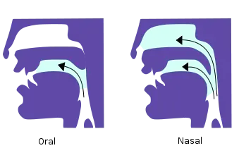 The Nasal consonant card