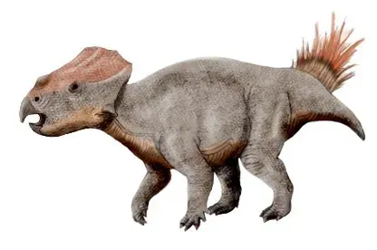 La carte Ajkaceratops