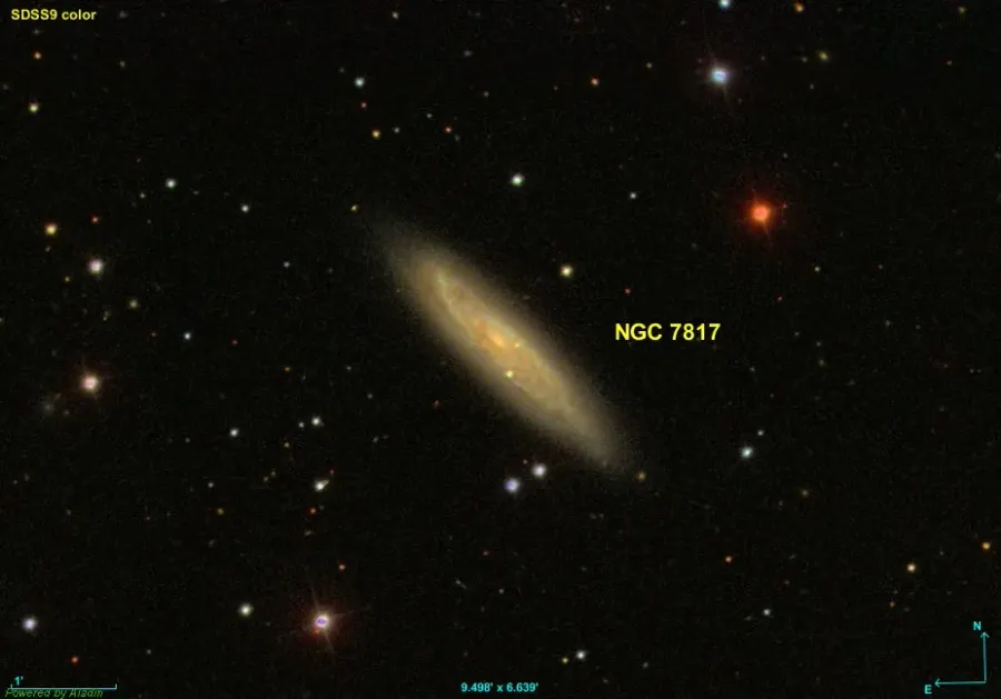 La carte NGC 7817