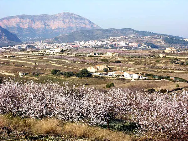 The Teulada, Spain card
