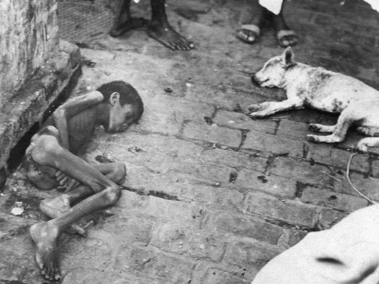 The Bengal famine of 1943 card