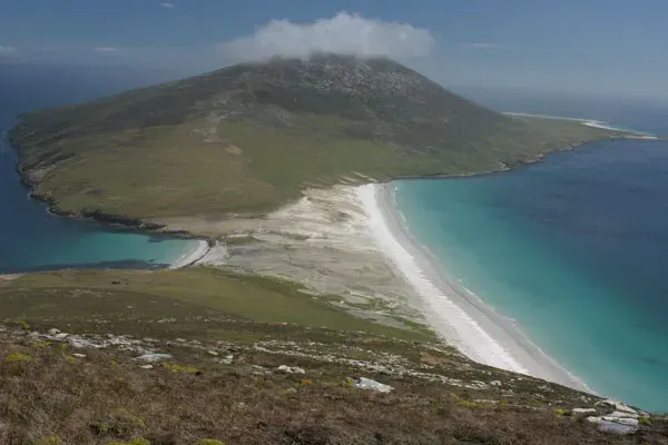 La carte Saunders Island