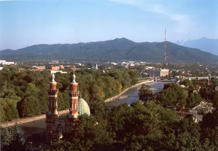 The Vladikavkaz card