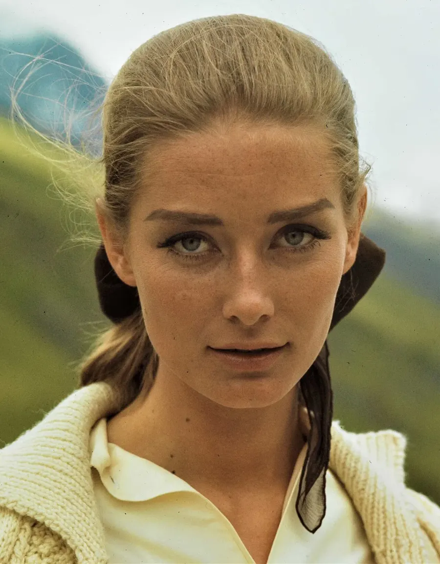 La carte Tania Mallet