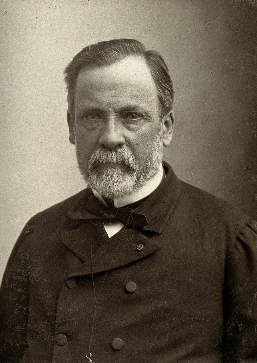 The Louis Pasteur card