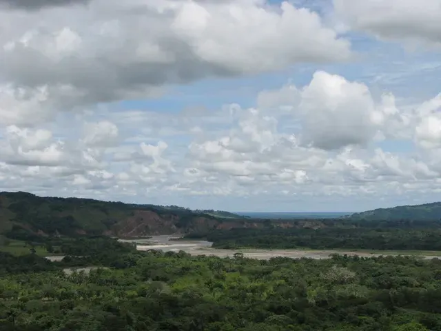 The Támara, Casanare card