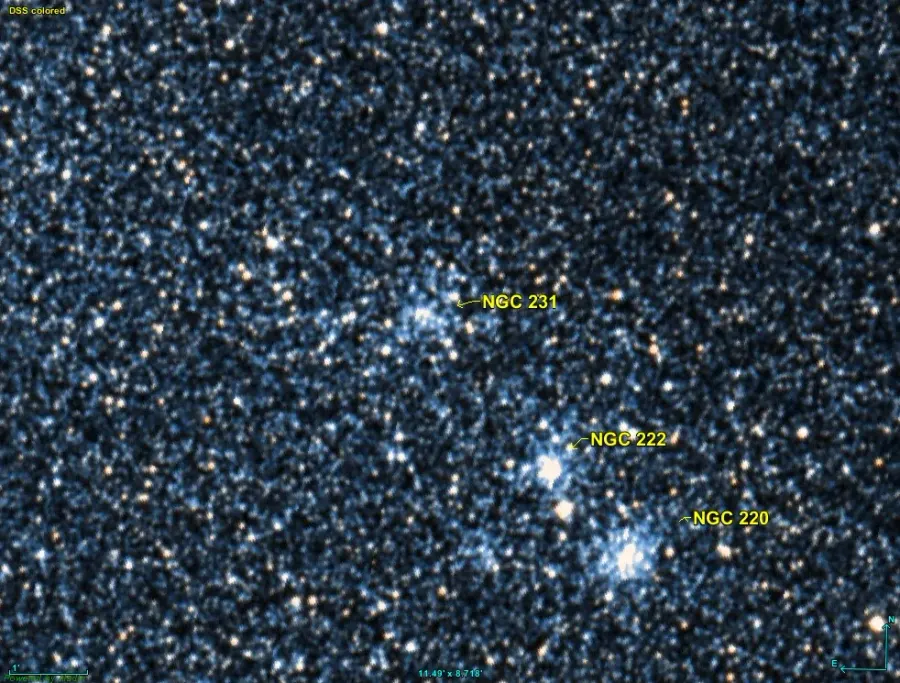The NGC 231 card