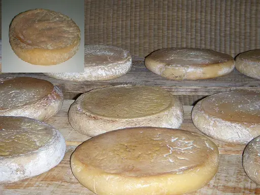 La carte Fromage de La Serena