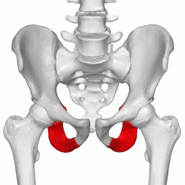 La carte Ischium