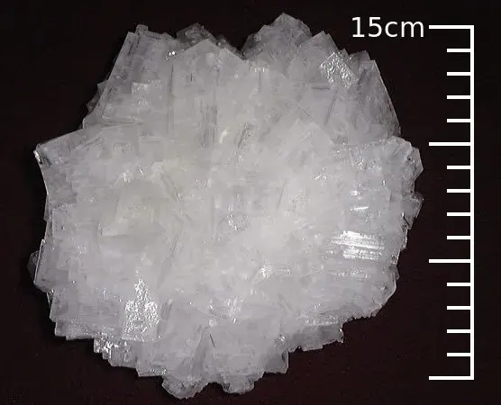 La carte Halite