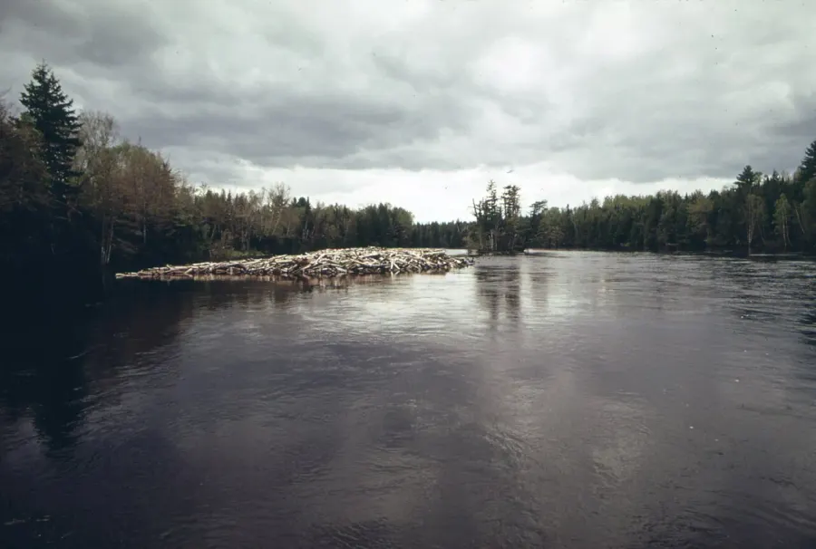 The St. Croix River card