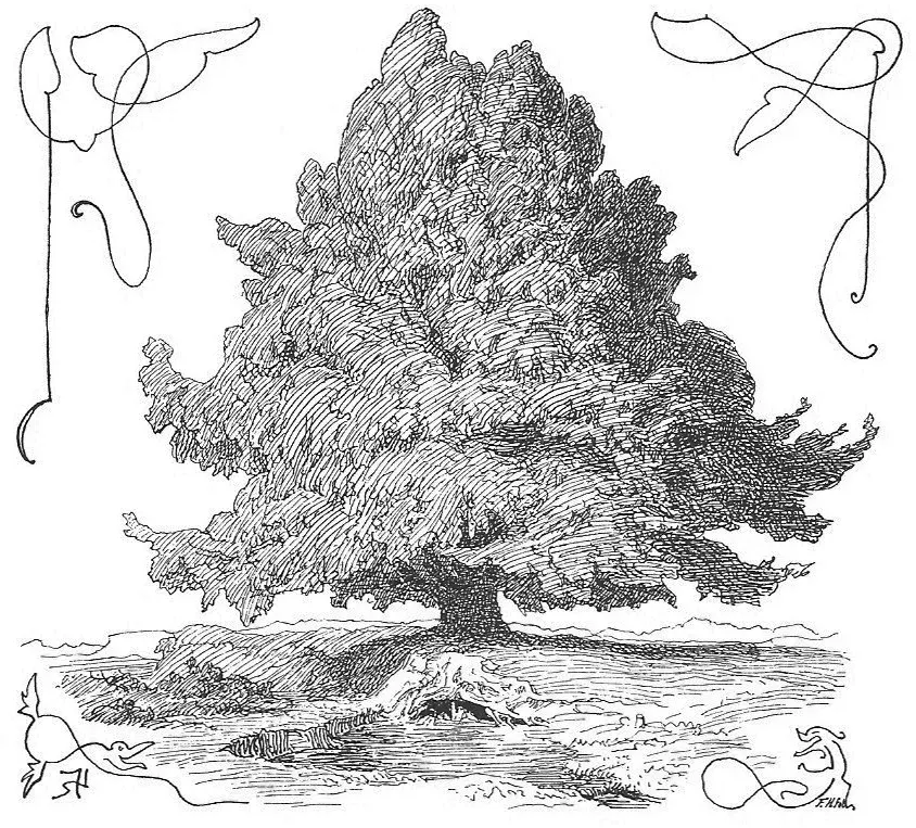 La carte Hvergelmir