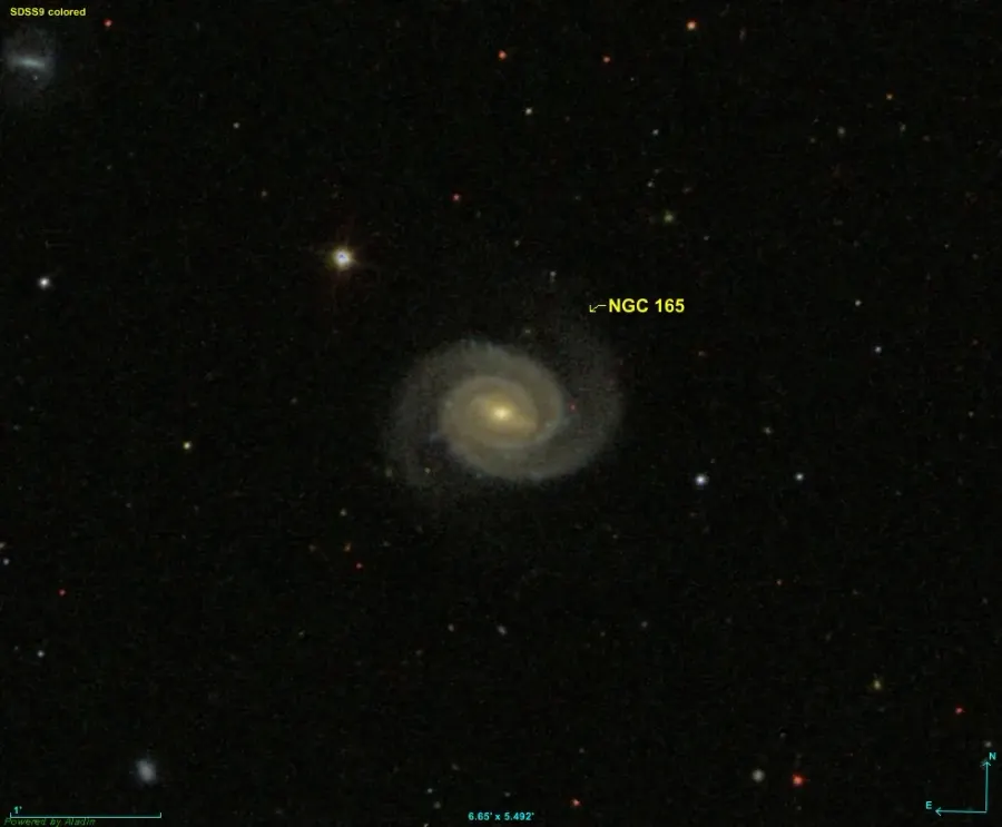 The NGC 165 card