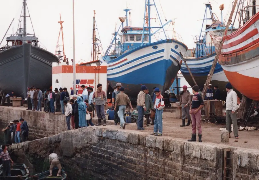 The Fishing industry in Morocco card