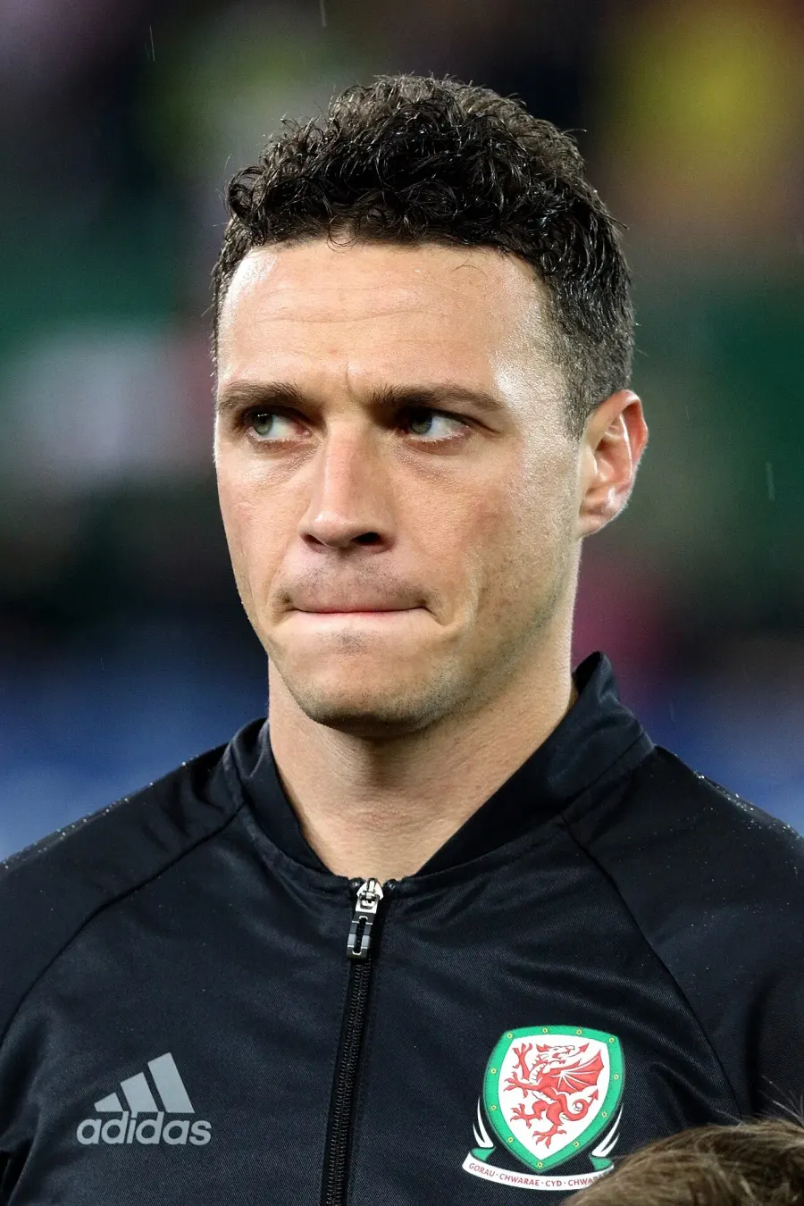 The James Chester card