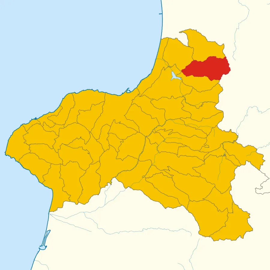 La carte Polia