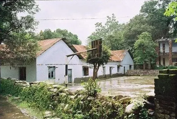 The Jaysingpur card
