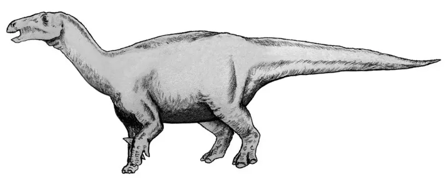 The Lurdusaurus card