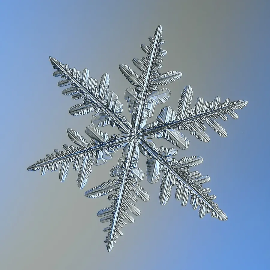The Snowflake card