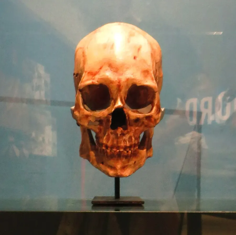 The Kennewick Man card