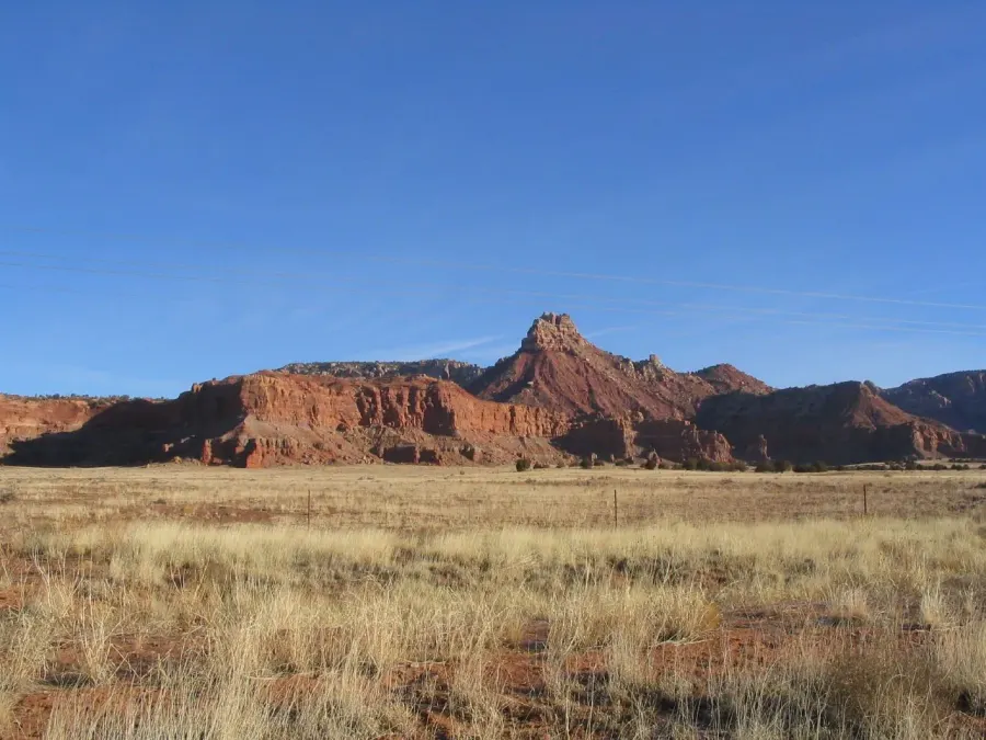 The Cane Beds, Arizona card