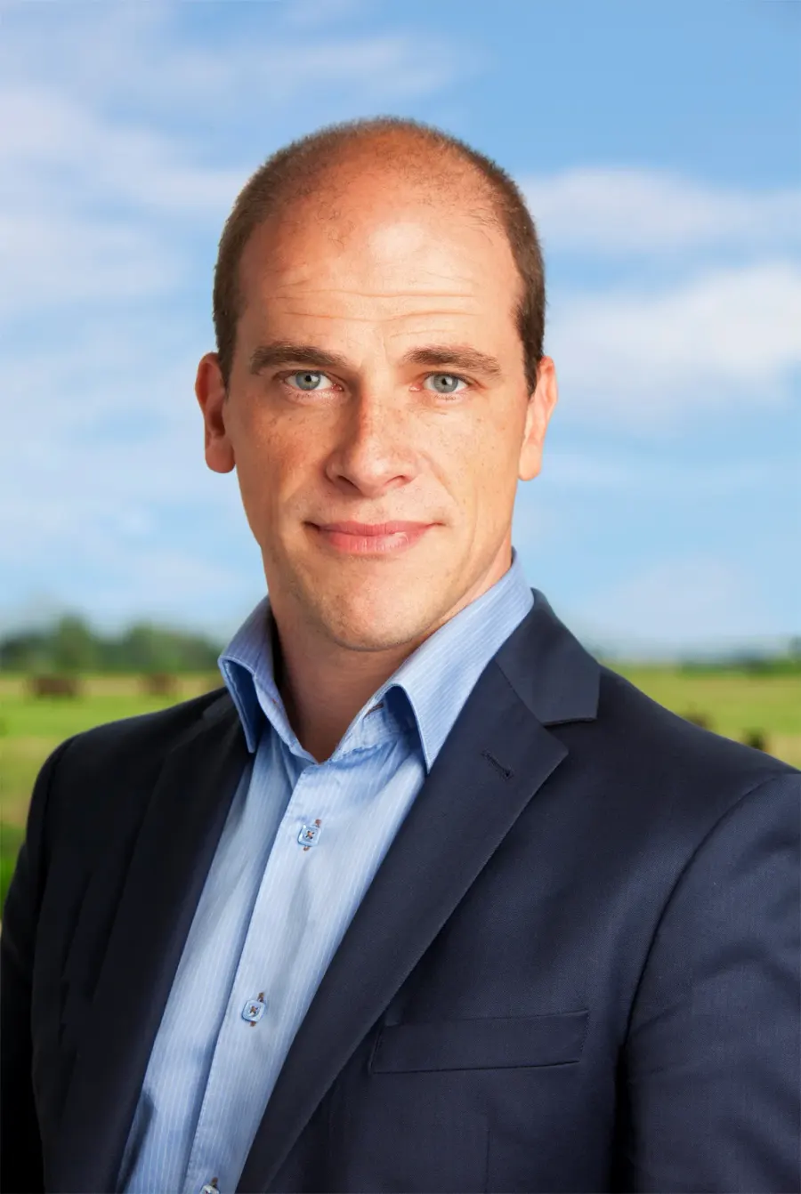 The Diederik Samsom card