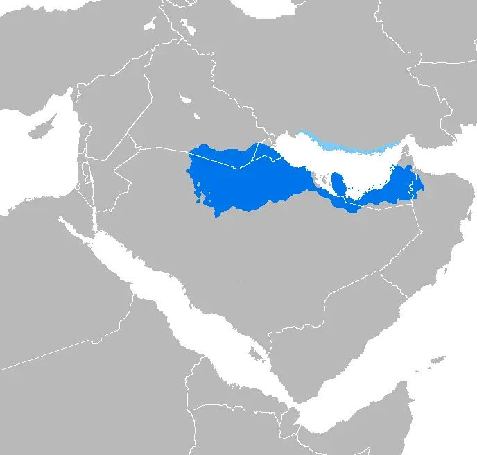 The Gulf Arabic card